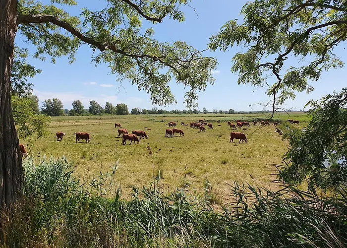 Im Seepark Lejlighed *